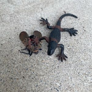 Meet your Posher, Dani